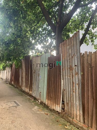 Hình ảnh HÓT 3 lô shr đất Gò Vấp, HXH đậu cửa, giá tốt
