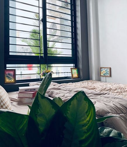 Hình ảnh Mb6623 nạp rút nhanh chóng 2PN - Balcon, cửa sổ máy giặt riêng đường Đinh Công Tráng Q1