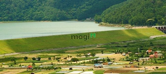 Hình ảnh Gia đình cần tiền bán rẻ đất gần Đà Lạt
