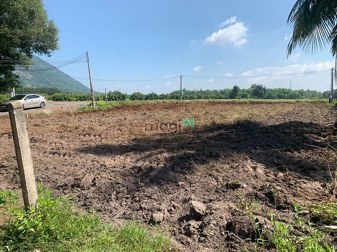 Hình ảnh Đất mặt tiền trung tâm thị trấn dương minh châu