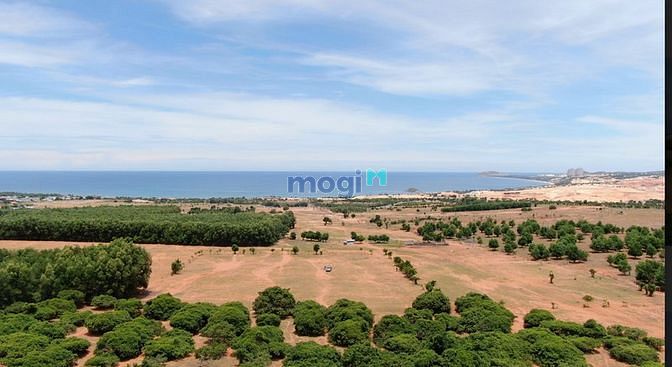Hình ảnh Cần bán lô đất 11328m2 Hòa Thắng, kế bên quỹ đất Vingroup,view Bàu Sen