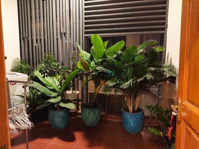 Hình ảnh Cho thuê Trang Chủ MB66.COM / Đăng Ký Tặng 66K Mới Keng Bạch Đằng Ngõ Vào Sân Bay