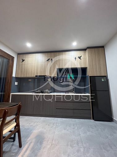 Hình ảnh Cho thuê CHDV studio, 1 và 2pn khu vực quận 11