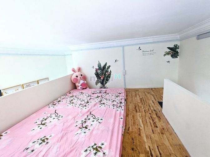 Hình ảnh 2PN Duplex, ban công, Full NT, Hoàng Hoa Thám, BT