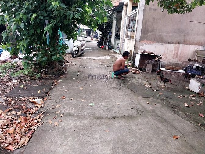 Hình ảnh Đất nền Phú Đông giá ngộp chủ đang cần bán gấp