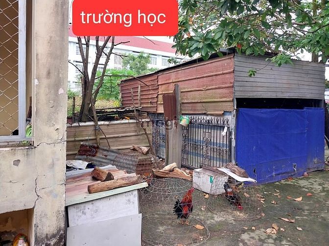 Hình ảnh Đất nền Phú Đông giá ngộp chủ đang cần bán gấp