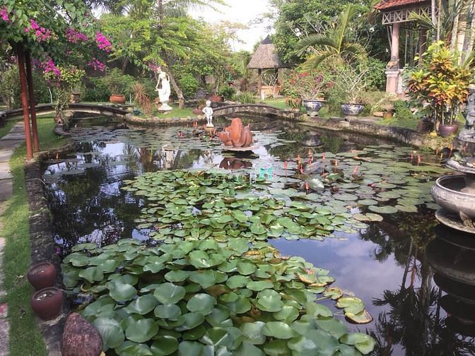 Hình ảnh Đất nhà vườn Củ Chi mặt tiền Võ Văn Bích, xã Bình Mỹ, huyện Củ Chi