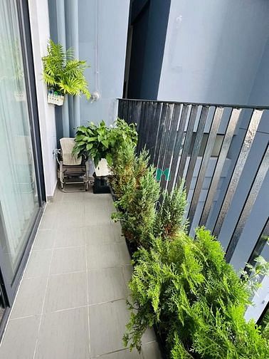 Hình ảnh Cho thuê Duplex chung cư M-one đường Bế Văn Cấm Q7 full NT giá 11tr