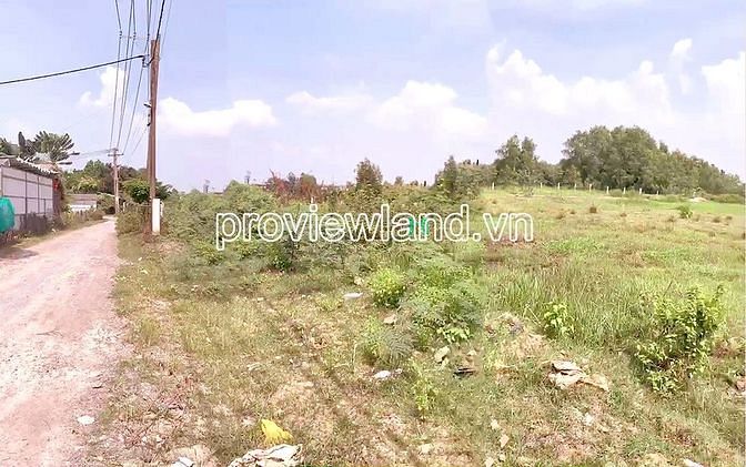 Hình ảnh Bán lô đất Long Phước Q9, DT hơn 15,938m2, có 544m2 thổ cư