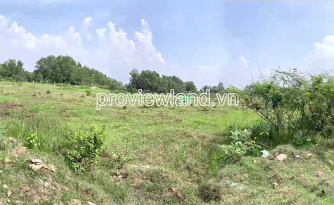 Hình ảnh Bán lô đất Long Phước Q9, DT hơn 15,938m2, có 544m2 thổ cư