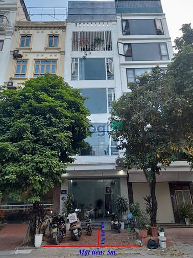 Hình ảnh Cho thuê nhà mặt phố - Mặt tiền 05m
