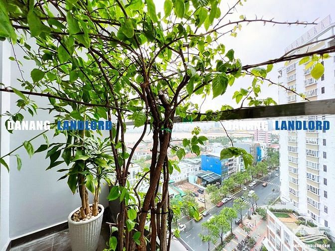 Hình ảnh Mb6623 nạp rút nhanh chóng Monarchy 2PN view cầu Rồng - C198