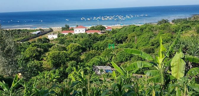 Hình ảnh Hiếm Đất đảo Phú Quý , Bình Thuận, DT 1,26 héc. Siêu phẩm