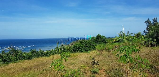 Hình ảnh Hiếm Đất đảo Phú Quý , Bình Thuận, DT 1,26 héc. Siêu phẩm