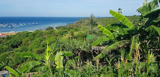 Hình ảnh Hiếm Đất đảo Phú Quý , Bình Thuận, DT 1,26 héc. Siêu phẩm