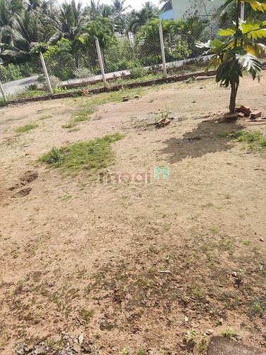 Hình ảnh Cho thuê 550m2 đất + 1 pn + 1wc