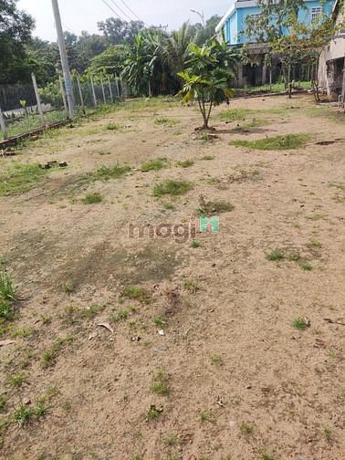Hình ảnh Cho thuê 550m2 đất + 1 pn + 1wc