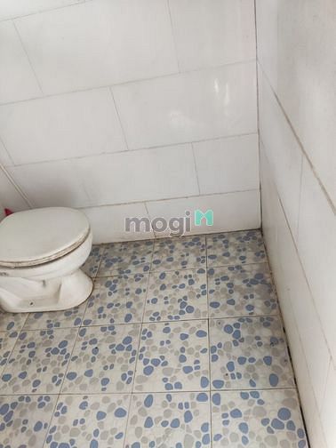 Hình ảnh Cho thuê 550m2 đất + 1 pn + 1wc