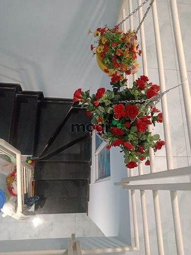 Hình ảnh Bán Nhà HBG Trần Thị Đệu , Phước Long B , Thủ Đức
