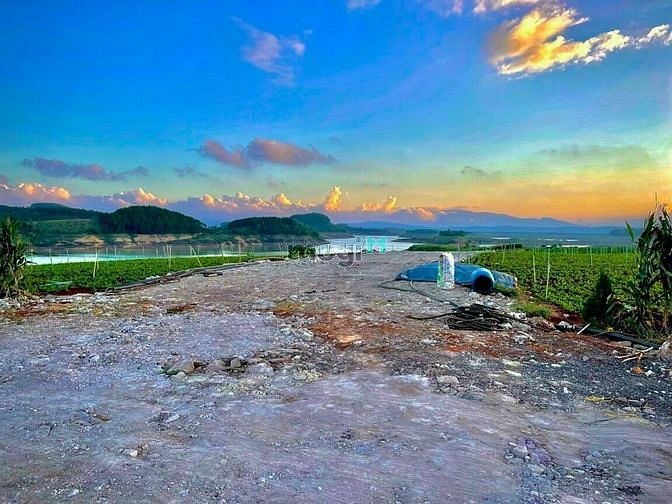 Hình ảnh Sản phẩm view cực Hot tại Lâm Đồng