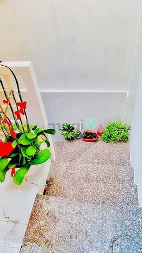 Hình ảnh 🔔SIÊU PHẨM 40m2 Phú Thọ Hòa, Phú Thọ Hòa, Tân Phú, Giá chỉ 4.08 Tỷ.
