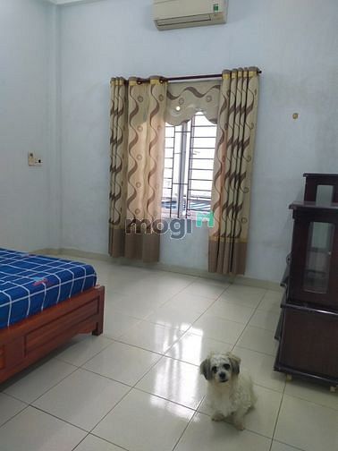 Hình ảnh Cho thuê nhà 21 Lê Thị Hồng Gấm, Hải Châu, Đà Nẵng