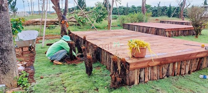 Hình ảnh Cần bán đất nền view đồi chè gần Đà Lạt 900 triệu 170m2