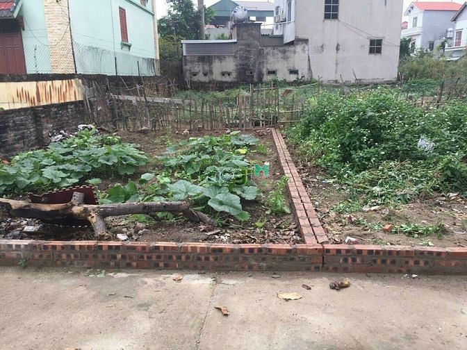 Hình ảnh Bán Đất Phú Diễn. Lô góc 2 Mặt Tiền. 48m. MT: 4.4m. Giá: 61 triệu/m