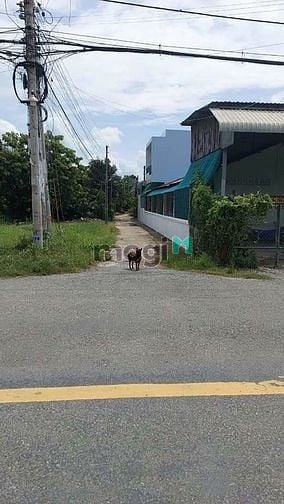 Hình ảnh Gom tiền ăn Tết, bán gấp lô đất thổ cư tại Long An