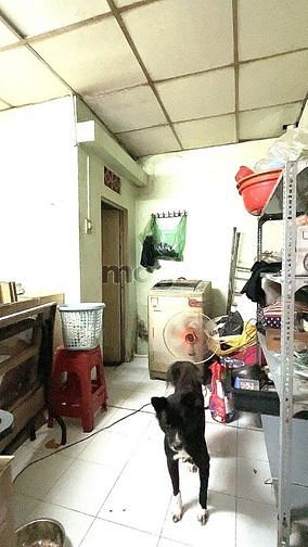 Hình ảnh Tân Bình HXH Trần Văn Quang sát mặt tiền, 84m2, 2tầng. Chỉ 5tỷ8