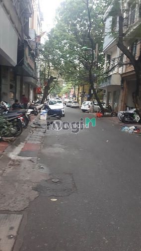 Hình ảnh Bán 145m2 đất phố Vĩnh Phúc, Ba Đình giá 16,8 tỷ