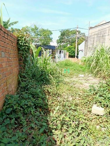 Hình ảnh Bán Gấp 1Lô Đất Tiềm Năng 154m2 Tp Biên Hoà. Chỉ: 1Tỷ 299Triệu