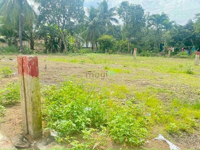 Hình ảnh Ngân hàng thanh lí gấp 5nền đất thổ cư sát chợ Rạch Kiến