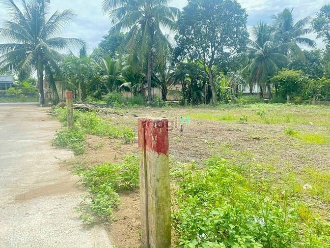 Hình ảnh Ngân hàng thanh lí gấp 5nền đất thổ cư sát chợ Rạch Kiến