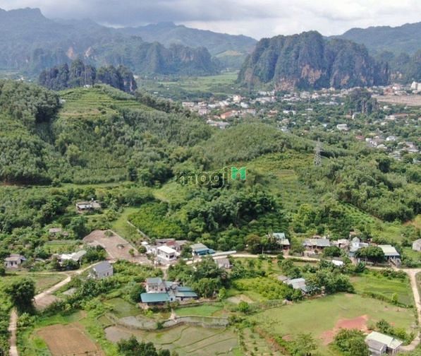 Hình ảnh Chính chủ cần bán gấp thu vốn đất đẹp 1000m2 tt Mãn Đức, Tân Lạc