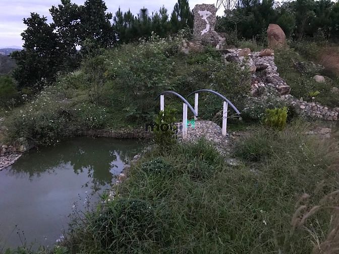 Hình ảnh Đất đồi 1 hecta view đẹp, trung tâm Lộc Thành, Bảo Lộc
