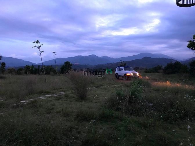 Hình ảnh Đất đồi 1 hecta view đẹp, trung tâm Lộc Thành, Bảo Lộc