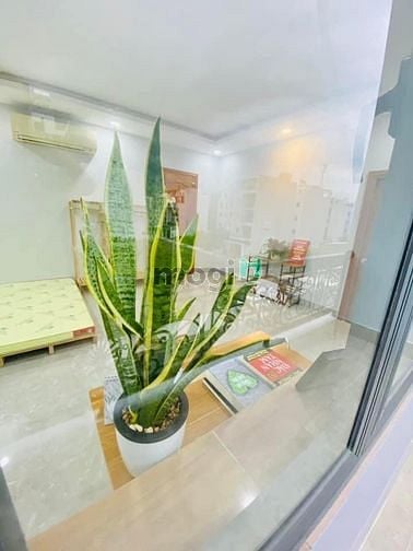 Hình ảnh Hàng Hiếm Studio Có bancol Thoáng Mát Nội Thất Cơ Bản