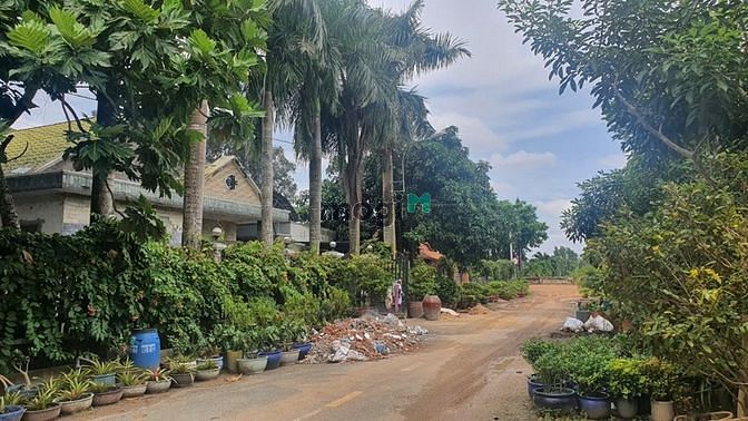 Hình ảnh 5162m2 Đất, 107m x 30m, Trung An, Củ Chi. Giá 15.6 tỷ