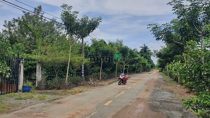 Hình ảnh 5162m2 Đất, 107m x 30m, Trung An, Củ Chi. Giá 15.6 tỷ