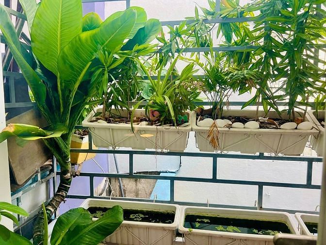 Hình ảnh Nhà Hoàng Văn Thụ 35m2- 1T- 1L- Nhỉnh 3tỷ