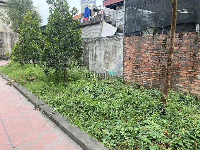 Hình ảnh Bán đất chính chủ, DT232.4m2, MT10.3m,Đông Triều, Quảng Ninh