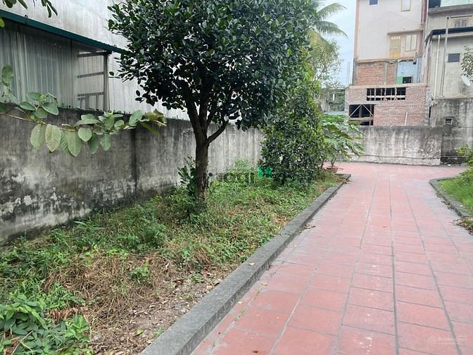 Hình ảnh Bán đất chính chủ, DT232.4m2, MT10.3m,Đông Triều, Quảng Ninh