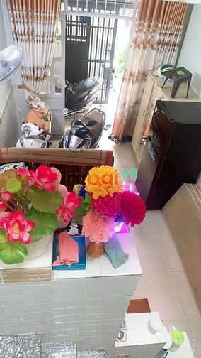 Hình ảnh Hẻm 6m-xe tải đổ cửa-Đất Thánh- Tân Bình -43m2,-3PN. Chỉ 5tỷ3
