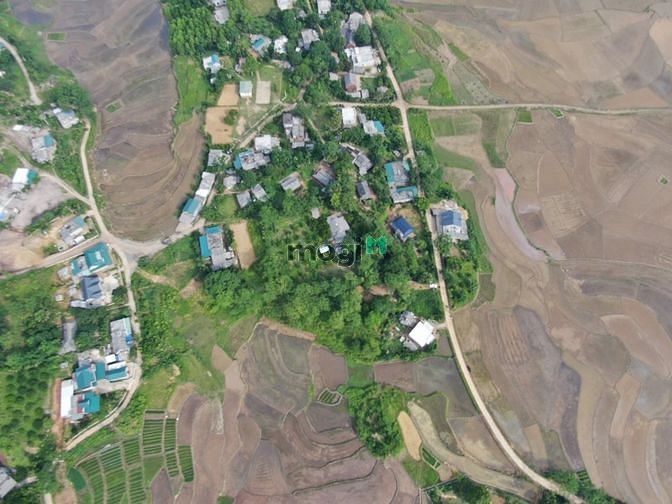 Hình ảnh chính chủ em bán mảnh đất siêu đẹp siêu rẻ tại tân lạc hoà bình