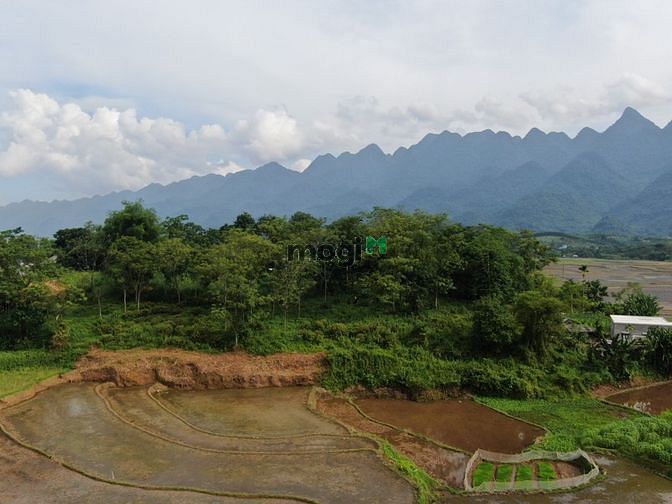 Hình ảnh chính chủ em bán mảnh đất siêu đẹp siêu rẻ tại tân lạc hoà bình