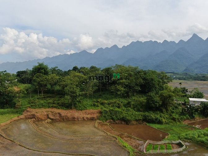 Hình ảnh chính chủ em bán mảnh đất siêu đẹp siêu rẻ tại tân lạc hoà bình