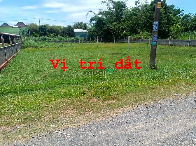 Hình ảnh Bán đất Củ Chi 4000m2 ( 300m2 thổ cư), xã Thái Mỹ, giá 7 tỷ (MCT 12/12