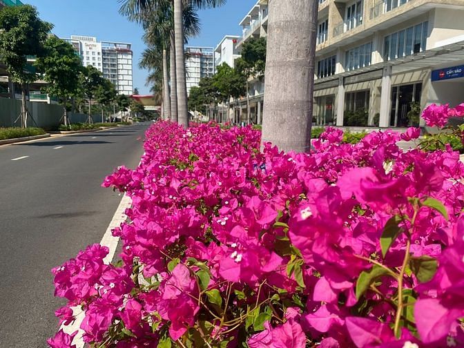 Hình ảnh Cho thuê Shophouse Saritown Sala Quận 2,giá thuê 100 triệu.