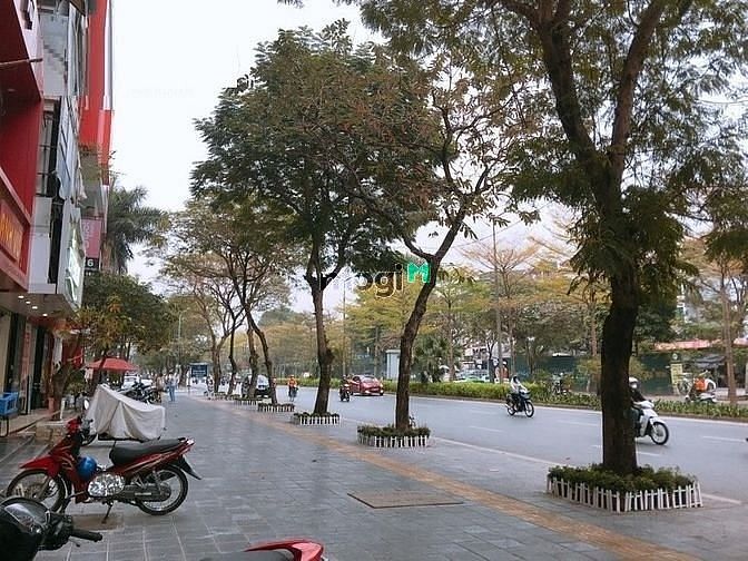 Hình ảnh Hơn 200 triệu/m2 sở hữu ngay mảnh đất 206m2 mặt phố Nguyễn Khánh Toàn!